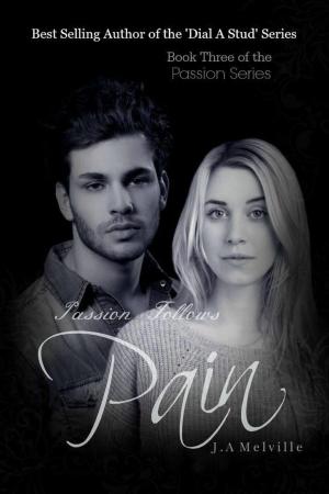 Cover of the book Passion Follows Pain by Jala Summers