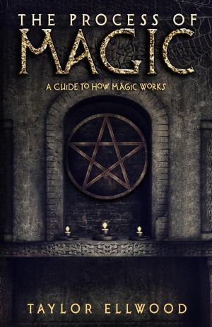 Cover of the book The Process of Magic: A Guide to How Magic Works by Claude Lecouteux