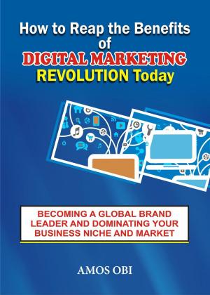Book cover of How to Reap the Benefit of Digital Marketing Revolution Today