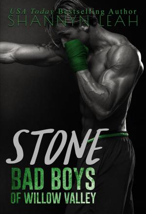 Cover of the book Stone by Shannyn Leah, Kelly Moore