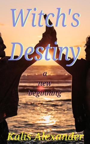 Cover of Witch's Destiny, A New Beginning