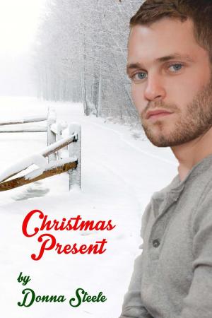 Cover of the book Christmas Present by Donna Steele