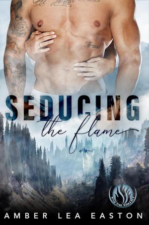 Cover of the book Seducing the Flame by Eve McFadden