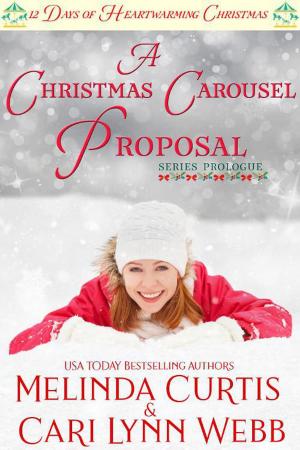 Cover of the book A Christmas Carousel Proposal by Tanya Bird
