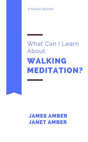 Cover of the book What Can I Learn About Walking Meditation? by Captain Ana Donovitch