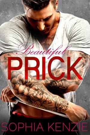 Cover of the book Beautiful Prick by Leo David