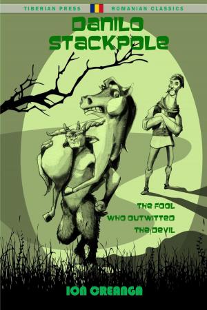 Cover of the book Danilo Stackpole: The Fool Who Outwitted the Devil by Emme Wesson