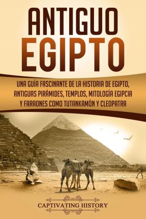Cover of Antiguo Egipto: Una guía fascinante de la historia de Egipto, antiguas pirámides, templos, mitología egipcia y faraones como Tutankamón y Cleopatra