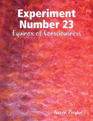 Cover of the book Experiment Number 23 Equinox of Consciousness by Titania Hudson