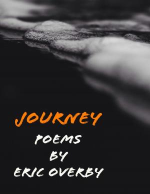 Cover of the book Journey by Michelle Jansick
