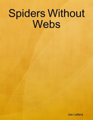 Cover of the book Spiders Without Webs by Marianne S. Haynes