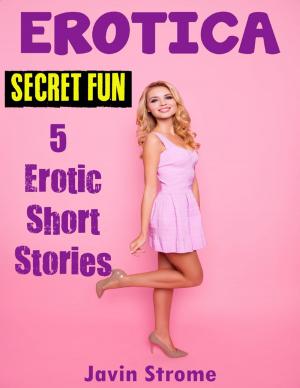 Book cover of Erotica: Secret Fun: 5 Erotic Short Stories