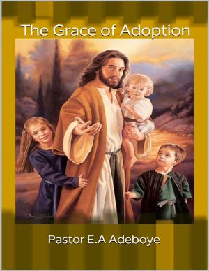 Cover of the book The Grace of Adoption by Derek Des Anges