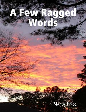 Cover of the book A Few Ragged Words by Doreen Milstead