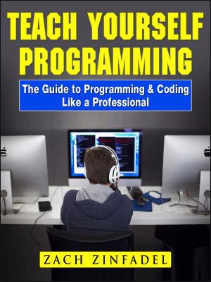 Book cover of Teach Yourself Programming The Guide to Programming & Coding Like a Professional