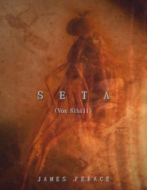 Cover of the book Seta (Vox Nihili) by Diana Hahlbohm