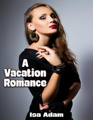 Cover of the book A Vacation Romance by Joshua Nickel