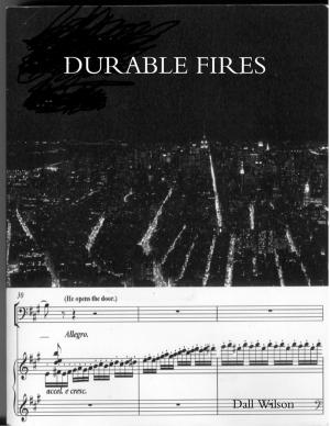 Cover of the book Durable Fires by Winner Torborg