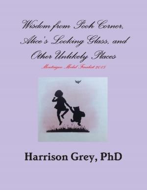 Cover of the book Wisdom from Pooh Corner, Alice's Looking Glass, and Other Unlikely Places by Margaret Elizabeth Hulse