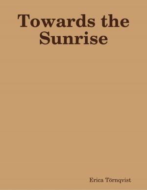 bigCover of the book Towards the Sunrise by 