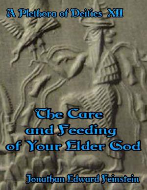 Cover of the book A Plethora of Deites Xii: The Care and Feeding of Your Elder God by E. M. Holloway