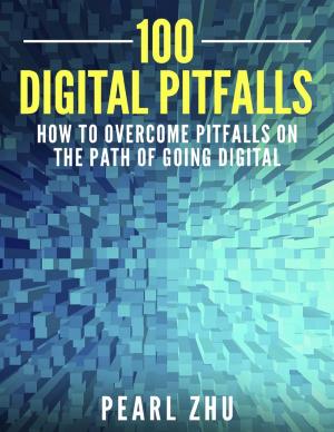 Cover of the book 100 Digital Pitfalls: How to Overcome Pitfalls on the Path of Going Digital by Nothim Assange