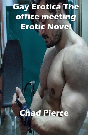Book cover of Gay Erotica The office meeting Erotic Novel