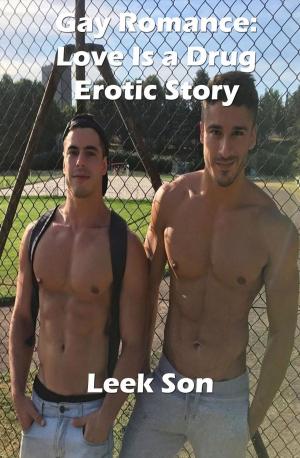 Cover of the book Gay Romance by Terri Wolffe