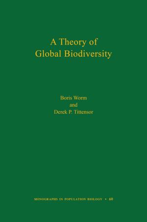 Cover of the book A Theory of Global Biodiversity (MPB-60) by Stephen M. Griffin
