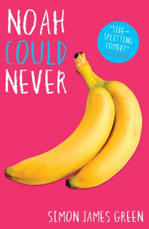 Cover of the book Noah Could Never by Sarah Sky