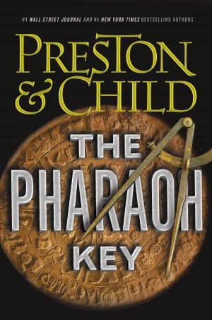 Cover of the book The Pharaoh Key by Marie Meyer