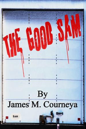 Cover of the book The Good Sam by Connie Auran