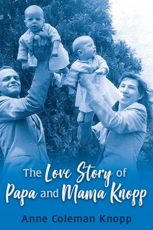 bigCover of the book The Love Story of Papa and Mama Knopp by 