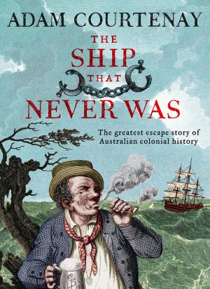 Cover of the book The Ship That Never Was by Marg Carroll