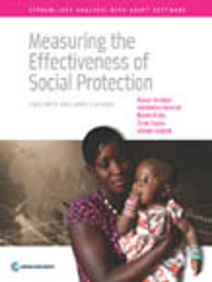 Cover of the book Measuring the Effectiveness of Social Protection by Villar Daniel; Dreyhaupt Stephan; Economou Persephone; Lambert Caroline; Verheyen Gero; Salinas Emanuel