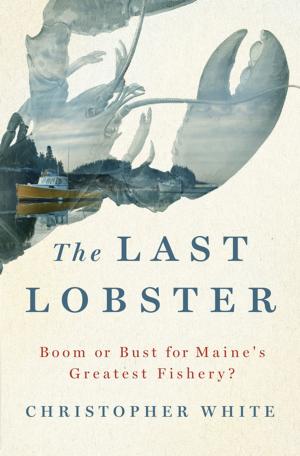 Book cover of The Last Lobster