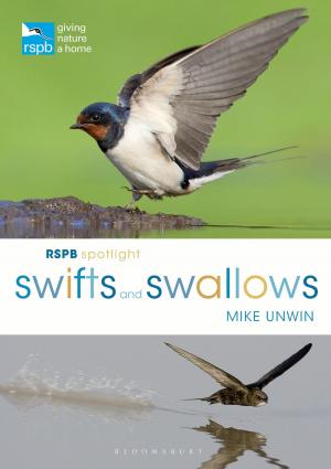 Book cover of RSPB Spotlight Swifts and Swallows