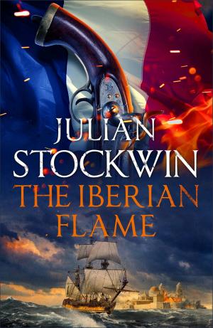Cover of the book The Iberian Flame by Steve Finegan