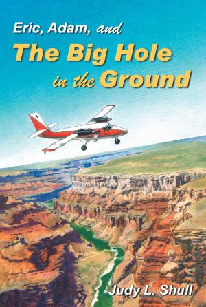 Cover of the book Eric, Adam, and the Big Hole in the Ground by Laura Abate