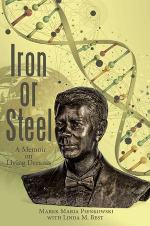 bigCover of the book Iron or Steel by 