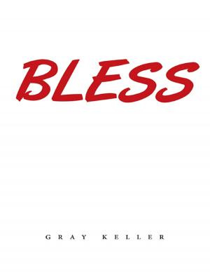 Cover of the book Bless by Robert J. Page