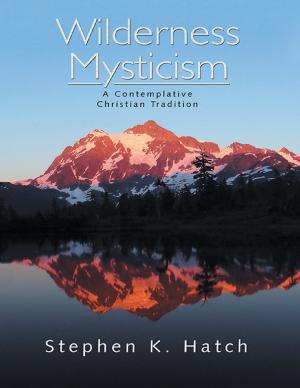 Cover of the book Wilderness Mysticism: A Contemplative Christian Tradition by Brandon Christopher