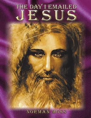 Cover of the book The Day I Emailed Jesus by Kristy Kaye