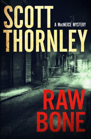 Cover of the book Raw Bone by John Thompson
