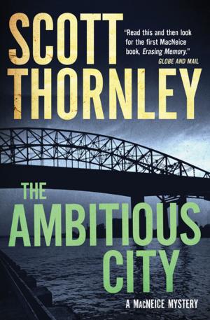 Cover of the book The Ambitious City by Perrine LeBlanc