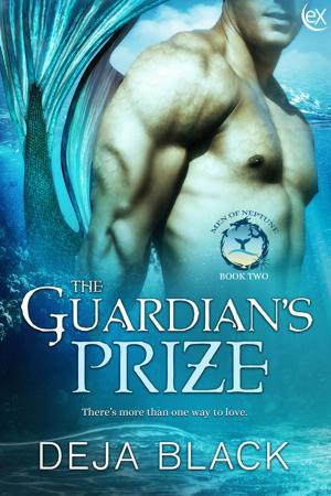 Cover of the book The Guardian's Prize by Jon Bradbury
