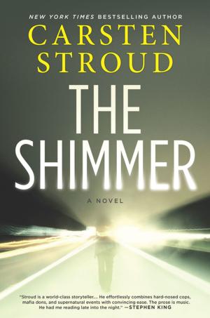 Book cover of The Shimmer