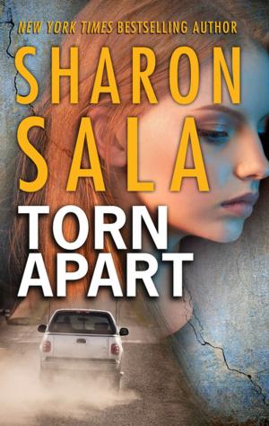 Cover of the book Torn Apart by Meg Little Reilly