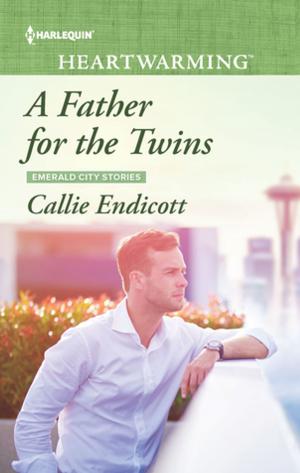 Book cover of A Father for the Twins