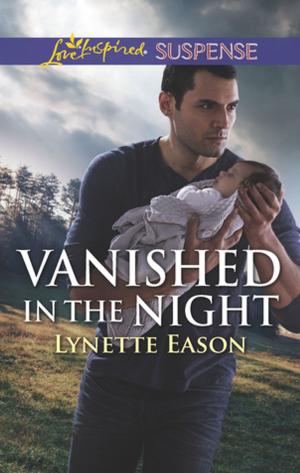 Cover of the book Vanished in the Night by Donna Young